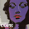 Every Waking Moment, Citizen Cope