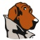 McGruff SafeGuard Browser Icon