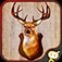 Deer Hunter Challenge